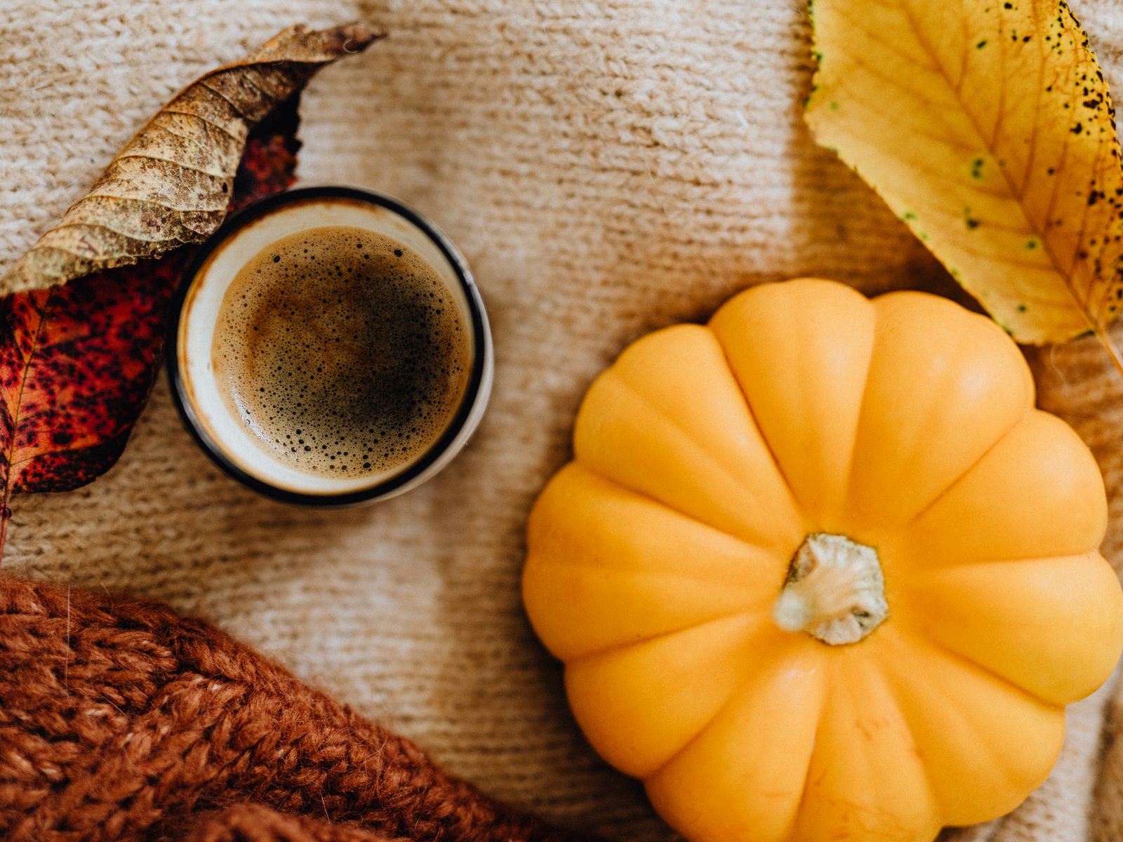 Autumn coffee scene with a pumpkin and fall leaves for making a pumpkin spice latte