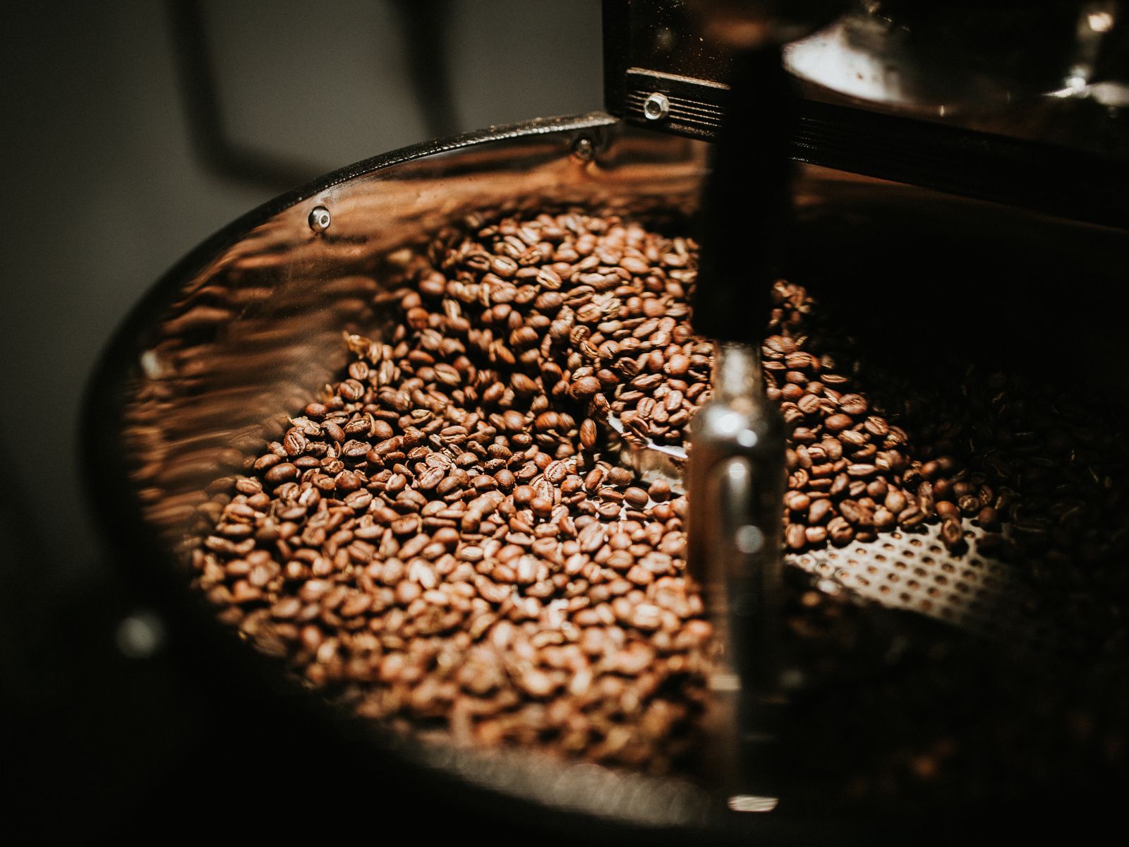 Freshly roasted coffee beans cooling in a roaster