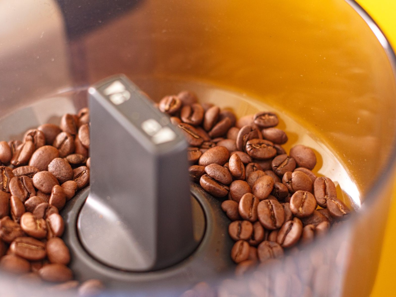 Freshly ground coffee inside a grinder