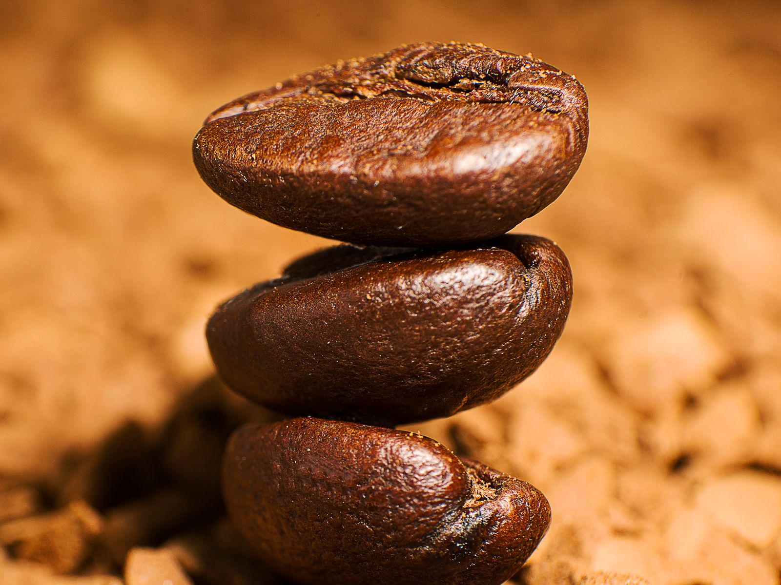 A medium coffee roast with even brown color and rich texture