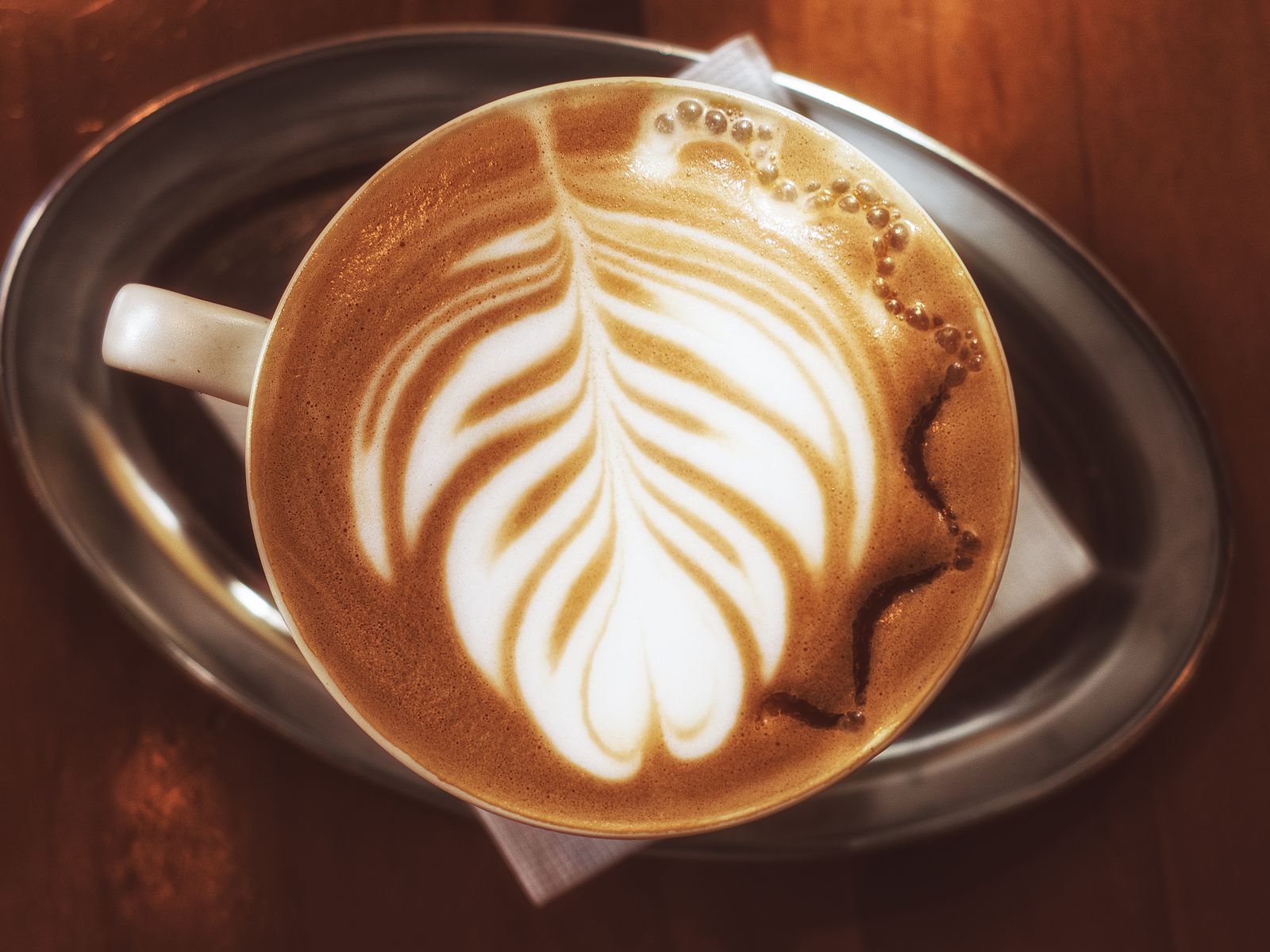 Top view of a rosetta leaf pattern in a latte cup