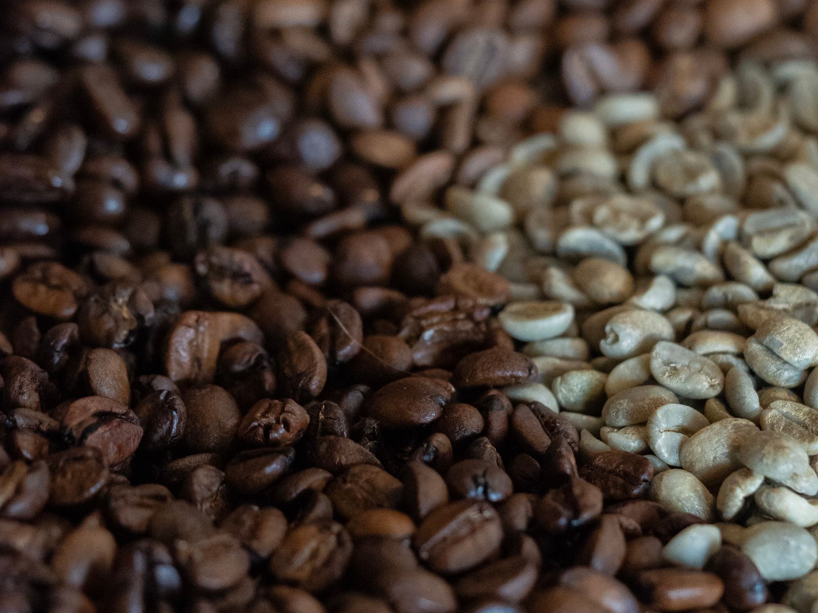 Light and dark roast coffee beans side by side to compare roast levels